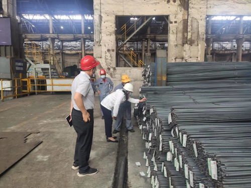 省 市 區三級市場監管部門聯合開展鋼筋 水泥生產企業監督檢查